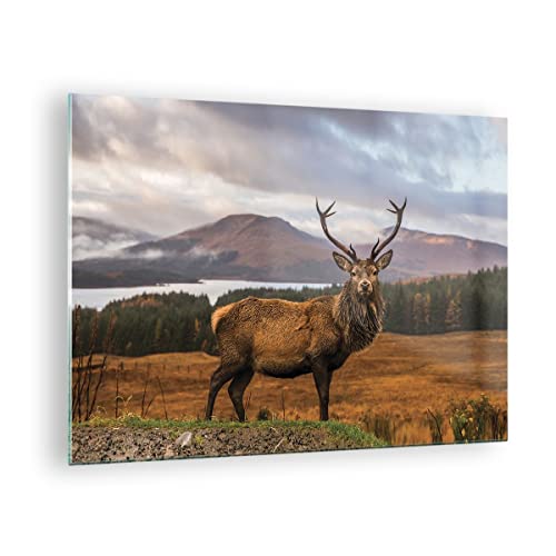 Bilder auf Glas Rehe Wiese Berge Glasbild 70x50cm Wandbilder Dekoration Wohnzimmer Schlafzimmer Küche Deko Klein Wanddeko Bild im Glas Wand Kunstdruck Art Modern Wall Decor Glasdruck GAA70x50-4231 von ARTTOR