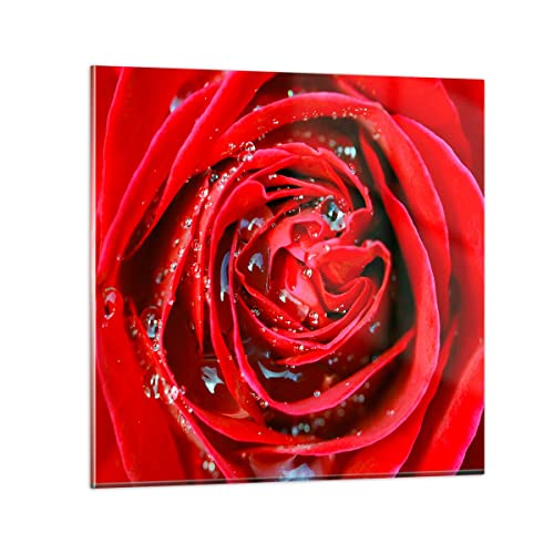 Bilder auf Glas Rose Blume Blütenblätter Tau Glasbild 30x30cm Wandbilder Dekoration Wohnzimmer Schlafzimmer Küche Deko Klein Wanddeko Bild im Glas Wand Kunstdruck Art Modern Wall Decor GAC30x30-1518 von ARTTOR