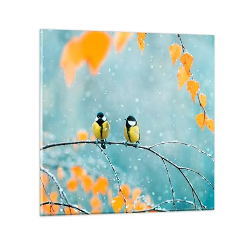 Bilder auf Glas Vögel Natur Winter Glasbild 30x30cm Wandbilder Dekoration Wohnzimmer Schlafzimmer Küche Deko Klein Wanddeko Bild im Glas Wand Kunstdruck Art Modern Wall Decor Glasdruck GAC30x30-5270 von ARTTOR