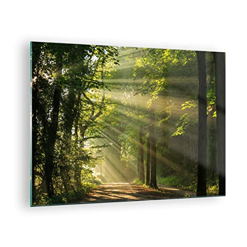 Bilder auf Glas Wald Baum Natur Glasbild 70x50cm Wandbilder Dekoration Wohnzimmer Schlafzimmer Küche Deko Klein Wanddeko Bild im Glas Wand Kunstdruck Art Modern Wall Decor Glasdruck GAA70x50-3661 von ARTTOR