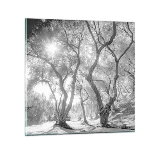 Bilder auf Glas Wald Winter Bäume Glasbild 30x30cm Wandbilder Dekoration Wohnzimmer Schlafzimmer Küche Deko Klein Wanddeko Bild im Glas Wand Kunstdruck Art Modern Wall Decor Glasdruck GAC30x30-5354 von ARTTOR