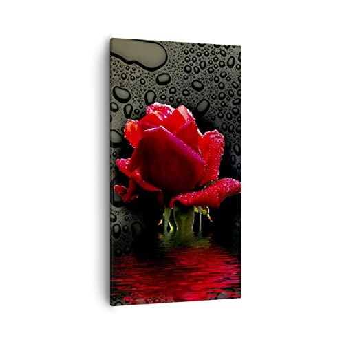 Bilder auf Leinwand 55x100cm Leinwandbild mit Rahmen Blume rote rose wasser tau Groß Wanddeko Bild Schlafzimmer Küche Deko Wandbilder Dekoration Wohnzimmer Canvas Wand Kunstdruck Art PA55x100-2367 von ARTTOR