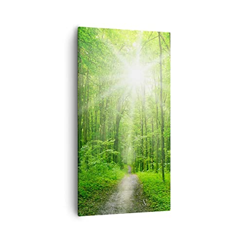 Bilder auf Leinwand 55x100cm Leinwandbild mit Rahmen Sonnenstrahlen Wald Sommer Groß Wanddeko Bild Schlafzimmer Küche Deko Wandbilder Dekoration Wohnzimmer Canvas Wand Kunstdruck Art PA55x100-2689 Bilder auf Leinwand 55x100cm Leinwandbild mit Rahmen Sonnenstrahlen Wald Sommer Groß Wanddeko Bild Schlafzimmer Küche Deko Wandbilder Dekoration Wohnzimmer Canvas Wand Kunstdruck Art PA55x100-2689 von ARTTOR
