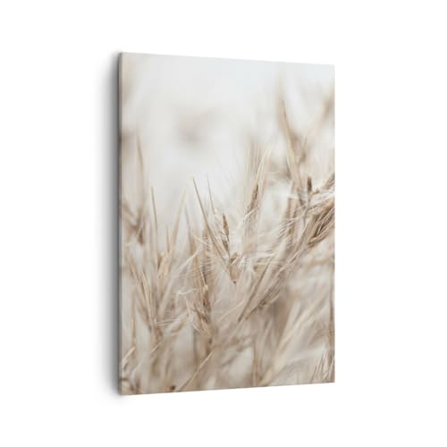 Bilder auf Leinwand Boho Natur Stock Leinwandbild mit Rahmen 50x70cm Wandbilder Dekoration Wohnzimmer Schlafzimmer Küche Deko Groß Wanddeko Bild Wand Kunstdruck Art Wall Decor Canvas PA50x70-6104 von ARTTOR