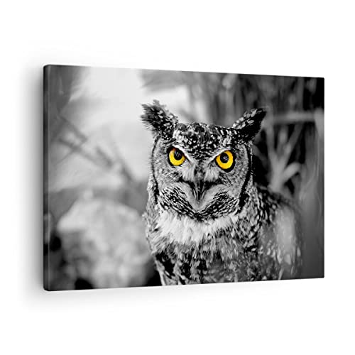 Bilder auf Leinwand Eule Vogel Natur Leinwandbild mit Rahmen 70x50cm Wandbilder Dekoration Wohnzimmer Schlafzimmer Küche Deko Klein Wanddeko Bild Wand Kunstdruck Art Wall Decor Canvas AA70x50-1318 Bilder auf Leinwand Eule Vogel Natur Leinwandbild mit Rahmen 70x50cm Wandbilder Dekoration Wohnzimmer Schlafzimmer Küche Deko Klein Wanddeko Bild Wand Kunstdruck Art Wall Decor Canvas AA70x50-1318 von ARTTOR