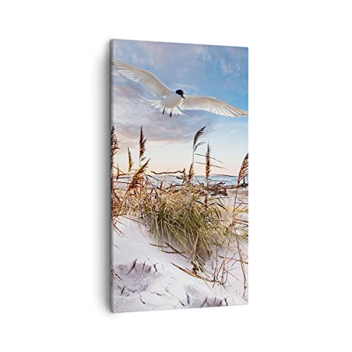 Bilder auf Leinwand Möwe Meer Küste Leinwandbild mit Rahmen 45x80cm Wandbilder Dekoration Wohnzimmer Schlafzimmer Küche Deko Klein Wanddeko Bild Wand Kunstdruck Art Wall Decor Canvas PA45x80-4902 von ARTTOR