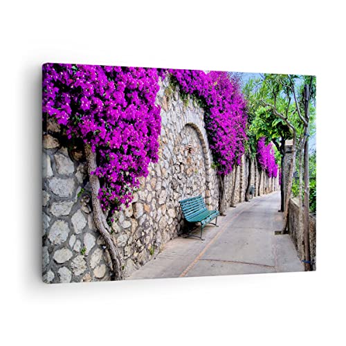 Bilder auf Leinwand Pflanzen Bank Straße Sommer Leinwandbild 70x50cm Wandbilder Dekoration Wohnzimmer Schlafzimmer Küche Deko Klein Wanddeko Bild Wand Kunstdruck Art Wall Decor Canvas AA70x50-2790 von ARTTOR