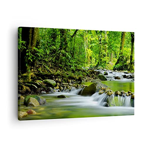 Bilder auf Leinwand Stream Wald Natur Leinwandbild mit Rahmen 70x50cm Wandbilder Dekoration Wohnzimmer Schlafzimmer Küche Deko Klein Wanddeko Bild Wand Kunstdruck Art Wall Decor Canvas AA70x50-0174 Bilder auf Leinwand Stream Wald Natur Leinwandbild mit Rahmen 70x50cm Wandbilder Dekoration Wohnzimmer Schlafzimmer Küche Deko Klein Wanddeko Bild Wand Kunstdruck Art Wall Decor Canvas AA70x50-0174 von ARTTOR