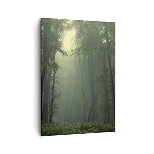 Bilder auf Leinwand Wald Nebel Baum Leinwandbild mit Rahmen 50x70cm Wandbilder Dekoration Wohnzimmer Schlafzimmer Küche Deko Groß Wanddeko Bild Wand Kunstdruck Art Wall Decor Canvas PA50x70-3543 von ARTTOR