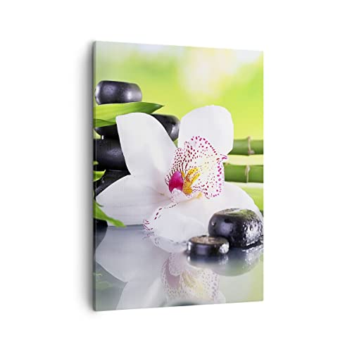 Bilder auf Leinwand blume orchidee Leinwandbild mit Rahmen 50x70cm Wandbilder Dekoration Wohnzimmer Schlafzimmer Küche Deko Groß Wanddeko Bild Wand Kunstdruck Art Wall Decor Canvas PA50x70-3659 Bilder auf Leinwand blume orchidee Leinwandbild mit Rahmen 50x70cm Wandbilder Dekoration Wohnzimmer Schlafzimmer Küche Deko Groß Wanddeko Bild Wand Kunstdruck Art Wall Decor Canvas PA50x70-3659 von ARTTOR
