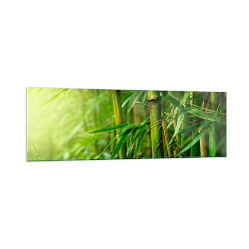 Panorama Bilder auf Glas 160x50cm Glasbild Bambus Pflanze Groß XXL Wanddeko Bild im Glas Schlafzimmer Küche Wandbilder Dekoration Wohnzimmer Modern Wall Decor Wand Kunstdruck Art GAB160x50-3558 von ARTTOR