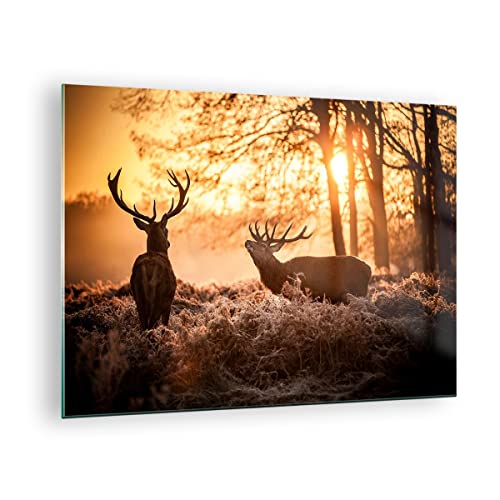 Bilder auf Glas Deer Heidekraut Tier Glasbild 70x50cm Wandbilder Dekoration Wohnzimmer Schlafzimmer Küche Deko Klein Wanddeko Bild im Glas Wand Kunstdruck Art Modern Wall Decor Glasdruck GAA70x50-3043 von ARTTOR