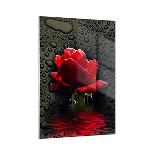 Bilder auf Glas Blume rote rose wasser tau Glasbild 50x70cm Wandbilder Dekoration Wohnzimmer Schlafzimmer Küche Deko Klein Wanddeko Bild im Glas Wand Kunstdruck Art Modern Wall Decor GPA50x70-2367 von ARTTOR