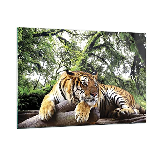 Wandbilder Dekoration Wohnzimmer Tiger Dschungel Ruhe Bilder auf Glas 120x80cm Glasbild Schlafzimmer Küche Deko Wand Kunstdruck Art Groß XXL Wanddeko Bild im Glas Modern Wall Decor GAA120x80-4166 von ARTTOR