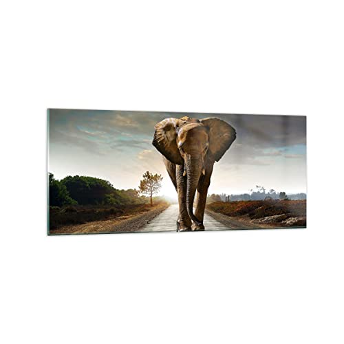 Wandbilder Dekoration Wohnzimmer Elefant Straße Landschaft Panorama Bilder auf Glas 120x50cm Glasbild Schlafzimmer Küche Wand Kunstdruck Art Groß Wanddeko Bild im Glas Modern Wall Decor GAB120x50-0214 von ARTTOR