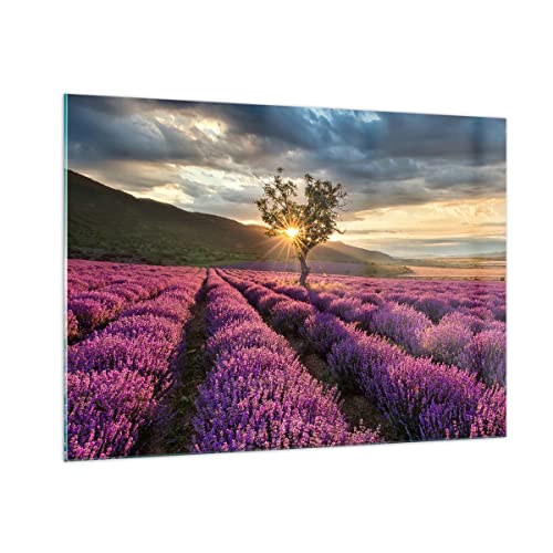 Bilder auf Glas 100x70cm Glasbild Lavendel Berge Feld Groß Wanddeko Bild im Glas Schlafzimmer Küche Deko Wandbilder Dekoration Wohnzimmer Modern Wall Decor Glasdruck Wand Kunstdruck Art GAA100x70-3645 von ARTTOR