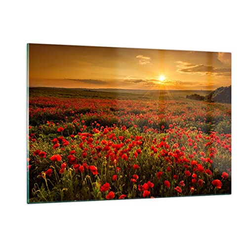 ARTTOR Wandbilder Dekoration Wohnzimmer Mohn Blume Wiese Bilder auf Glas 120x80cm Glasbild Schlafzimmer Küche Deko Wand Kunstdruck Art Groß XXL Wanddeko Bild im Glas Modern Wall Decor GAA120x80-3643 von ARTTOR