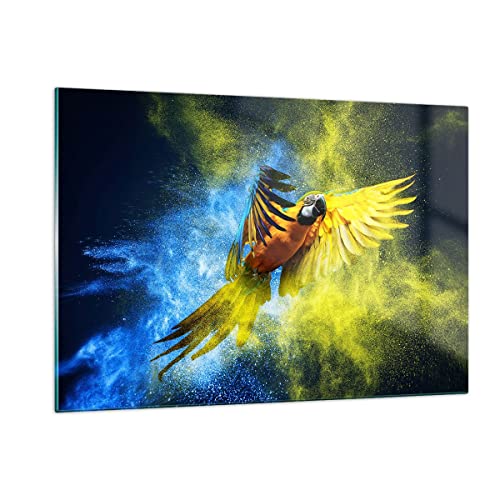 Wandbilder Dekoration Wohnzimmer Papagei Vogel Feder Bilder auf Glas 120x80cm Glasbild Schlafzimmer Küche Deko Wand Kunstdruck Art Groß XXL Wanddeko Bild im Glas Modern Wall Decor GAA120x80-3666 von ARTTOR