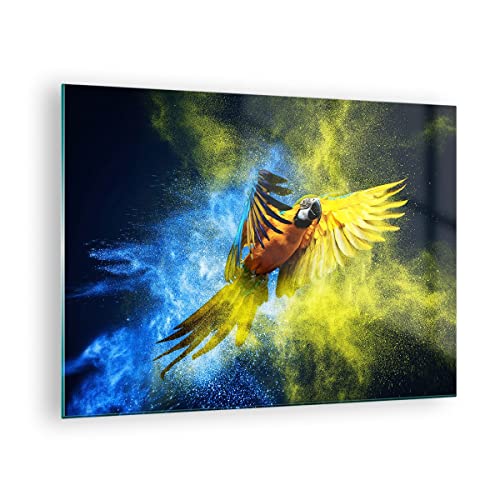 Bilder auf Glas Papagei Vogel Feder Glasbild 70x50cm Wandbilder Dekoration Wohnzimmer Schlafzimmer Küche Deko Klein Wanddeko Bild im Glas Wand Kunstdruck Art Modern Wall Decor Glasdruck GAA70x50-3666 von ARTTOR