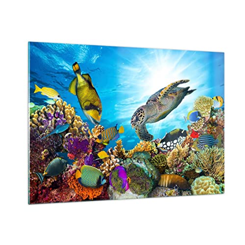 Bilder auf Glas 100x70cm Glasbild Riff Koralle Fisch Groß Wanddeko Bild im Glas Schlafzimmer Küche Deko Wandbilder Dekoration Wohnzimmer Modern Wall Decor Glasdruck Wand Kunstdruck Art GAA100x70-3704 von ARTTOR