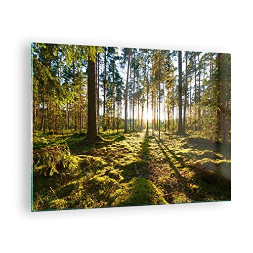 Bilder auf Glas Wald Baum Natur Glasbild 70x50cm Wandbilder Dekoration Wohnzimmer Schlafzimmer Küche Deko Klein Wanddeko Bild im Glas Wand Kunstdruck Art Modern Wall Decor Glasdruck GAA70x50-3724 von ARTTOR