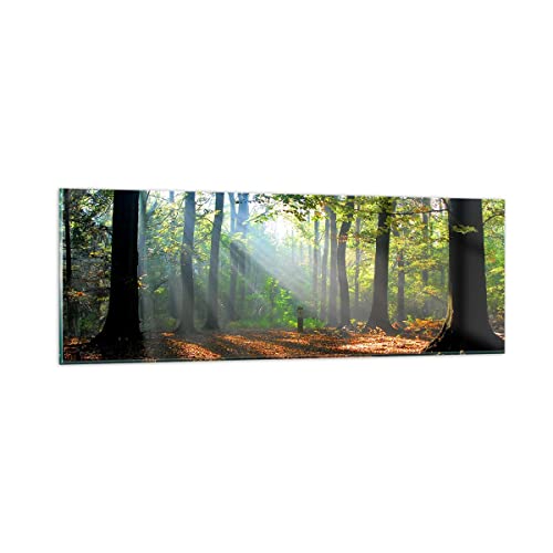 Panorama Bilder auf Glas Wald Blätter Sonne Glasbild 90x30cm Wandbilder Dekoration Wohnzimmer Schlafzimmer Küche Klein Wanddeko Bild im Glas Wand Kunstdruck Art Modern Wall Decor GAB90x30-0136 von ARTTOR