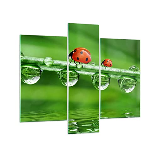 Mehrteilige Bilder auf Glas Marienkäfer Wasser Grün Umwelt Glasbild 95x80cm Wandbilder Dekoration Wohnzimmer Schlafzimmer Küche Set 3 teilige Groß Wanddeko Wand Kunstdruck Art Modern GCB95x80-2661 von ARTTOR