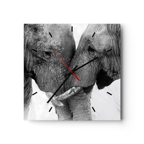 Modern Wanduhr Elefanten Safari Bond 30x30cm Quadrat Klein Wand Uhr Glas Analog Zimmeruhren Küche Büro Wohnzimmer Glasuhr Wall Clock Dekoration Design Wanddekoration Küchenuhr C3AC30x30-4973 von ARTTOR