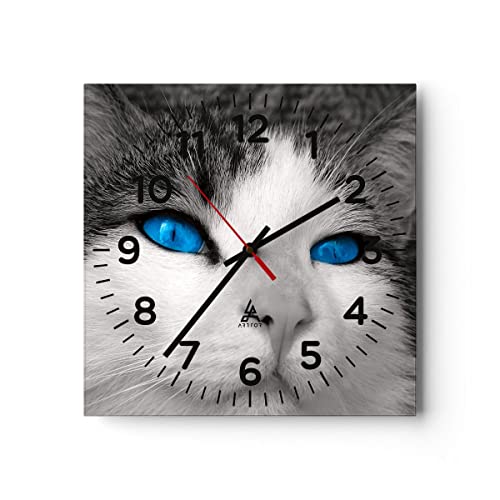 Modern Wanduhr Katze Tiere Blaue Augen 30x30cm Quadrat Klein Wand Uhr Glas Analog Zimmeruhren Küche Büro Wohnzimmer Glasuhr Wall Clock Dekoration Design Wanddekoration Küchenuhr C4AC30x30-1144 von ARTTOR