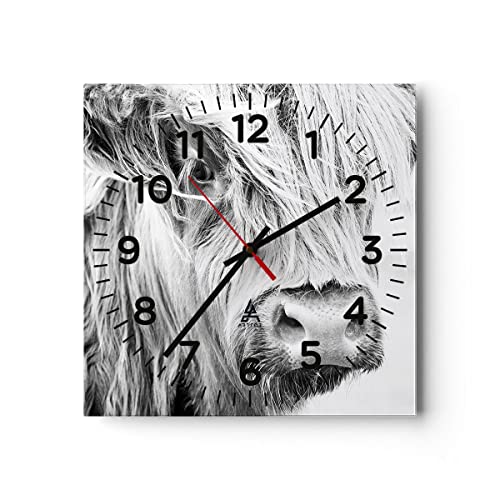 Modern Wanduhr Kuh Scotch Tier 40x40cm Quadrat Groß Wand Uhr Glas Analog Zimmeruhren Küche Büro Wohnzimmer Glasuhr Wall Clock Dekoration Design Wanddekoration Küchenuhr C4AC40x40-5129 von ARTTOR