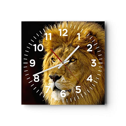 Modern Wanduhr Löwe Tiere Tierwelt 30x30cm Quadrat Klein Wand Uhr Glas Analog Zimmeruhren Küche Büro Wohnzimmer Glasuhr Wall Clock Dekoration Design Wanddekoration Küchenuhr C4AC30x30-1237 von ARTTOR