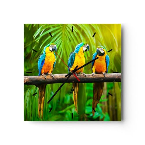 Modern Wanduhr Papageien Collorful Natur Vögel 40x40cm Quadrat Groß Wand Uhr Glas Analog Zimmeruhren Küche Büro Wohnzimmer Glasuhr Wall Clock Dekoration Design Wanddekoration Küchenuhr C3AC40x40-2696 Modern Wanduhr Papageien Collorful Natur Vögel 40x40cm Quadrat Groß Wand Uhr Glas Analog Zimmeruhren Küche Büro Wohnzimmer Glasuhr Wall Clock Dekoration Design Wanddekoration Küchenuhr C3AC40x40-2696 von ARTTOR