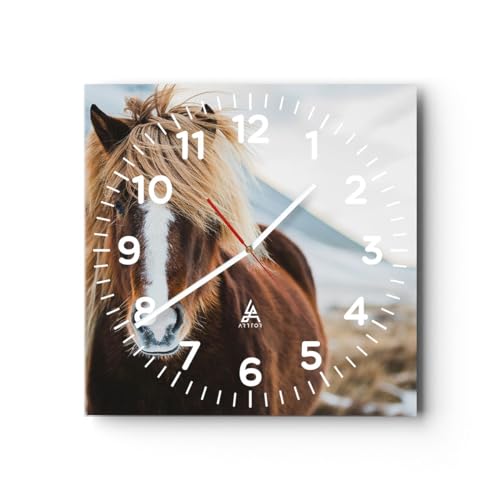 Modern Wanduhr Pferd Natur Tiere 40x40cm Quadrat Groß Wand Uhr Glas Analog Zimmeruhren Küche Büro Wohnzimmer Glasuhr Wall Clock Dekoration Design Wanddekoration Küchenuhr C4AC40x40-5304 Modern Wanduhr Pferd Natur Tiere 40x40cm Quadrat Groß Wand Uhr Glas Analog Zimmeruhren Küche Büro Wohnzimmer Glasuhr Wall Clock Dekoration Design Wanddekoration Küchenuhr C4AC40x40-5304 von ARTTOR