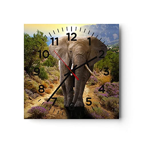 Modern Wanduhr Tiere Afrika Elefanten Spaziergang 30x30cm Quadrat Klein Wand Uhr Glas Analog Zimmeruhren Küche Büro Wohnzimmer Glasuhr Wall Clock Dekoration Design Küchenuhr C4AC30x30-2708 von ARTTOR