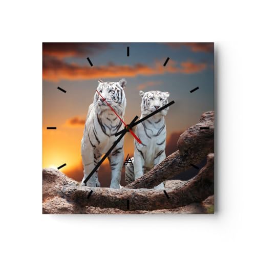 Modern Wanduhr Tiger weiß Rock Sonnenuntergang 40x40cm Quadrat Groß Wand Uhr Glas Analog Zimmeruhren Küche Büro Wohnzimmer Glasuhr Wall Clock Dekoration Design Wanddekoration Küchenuhr C3AC40x40-2901 von ARTTOR