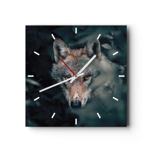 Modern Wanduhr Wolf Wald Raubtier 30x30cm Quadrat Klein Wand Uhr Glas Analog Zimmeruhren Küche Büro Wohnzimmer Glasuhr Wall Clock Dekoration Design Wanddekoration Küchenuhr C3AC30x30-5053 von ARTTOR