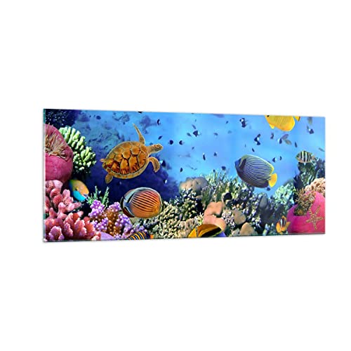 Panorama Bilder auf Glas 100x40cm Glasbild Korallenriff Groß Wanddeko Bild im Glas Schlafzimmer Küche Wandbilder Dekoration Wohnzimmer Modern Wall Decor Glasdruck Wand Kunstdruck Art GAB100x40-3569 Panorama Bilder auf Glas 100x40cm Glasbild Korallenriff Groß Wanddeko Bild im Glas Schlafzimmer Küche Wandbilder Dekoration Wohnzimmer Modern Wall Decor Glasdruck Wand Kunstdruck Art GAB100x40-3569 von ARTTOR