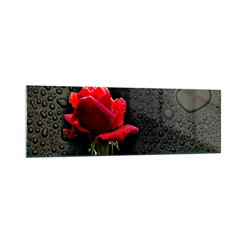Panorama Bilder auf Glas 160x50cm Glasbild Blume rote rose wasser tau Groß XXL Wanddeko Bild im Glas Schlafzimmer Küche Wandbilder Dekoration Wohnzimmer Modern Wand Kunstdruck Art GAB160x50-2367 von ARTTOR