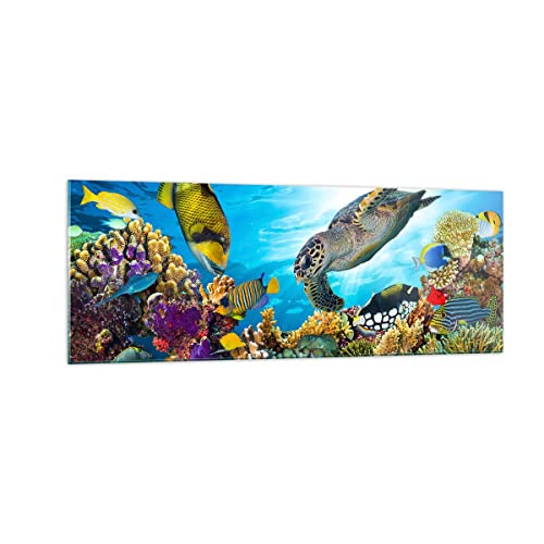 Panorama Bilder auf Glas Riff Koralle Fisch Glasbild 140x50cm Wandbilder Dekoration Wohnzimmer Schlafzimmer Küche Groß XXL Wanddeko Bild im Glas Wand Kunstdruck Art Modern Wall Decor GAB140x50-3704 Panorama Bilder auf Glas Riff Koralle Fisch Glasbild 140x50cm Wandbilder Dekoration Wohnzimmer Schlafzimmer Küche Groß XXL Wanddeko Bild im Glas Wand Kunstdruck Art Modern Wall Decor GAB140x50-3704 von ARTTOR
