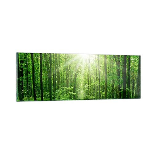 Panorama Bilder auf Glas Sonnenstrahlen Wald Sommer Glasbild 90x30cm Wandbilder Dekoration Wohnzimmer Schlafzimmer Küche Klein Wanddeko Bild im Glas Wand Kunstdruck Art Modern Wall Decor GAB90x30-2689 von ARTTOR