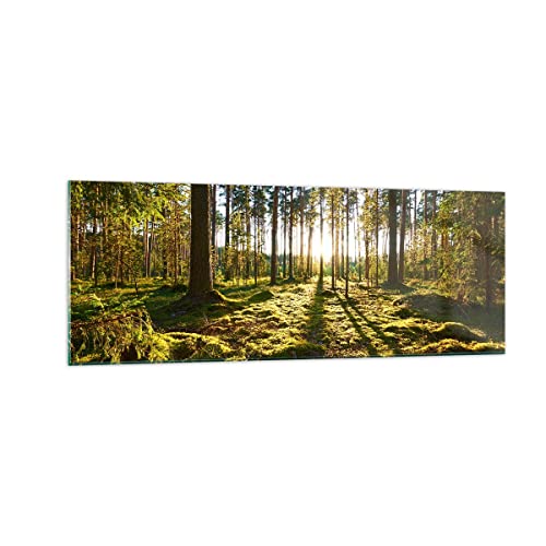 Panorama Bilder auf Glas Wald Baum Natur Glasbild 140x50cm Wandbilder Dekoration Wohnzimmer Schlafzimmer Küche Groß XXL Wanddeko Bild im Glas Wand Kunstdruck Art Modern Wall Decor GAB140x50-3724 von ARTTOR