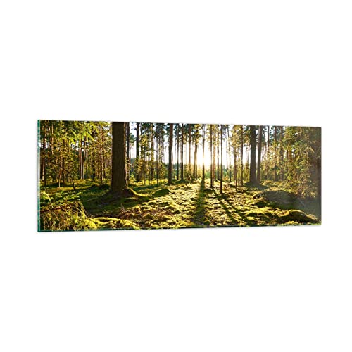 Panorama Bilder auf Glas Wald Baum Natur Glasbild 90x30cm Wandbilder Dekoration Wohnzimmer Schlafzimmer Küche Klein Wanddeko Bild im Glas Wand Kunstdruck Art Modern Wall Decor Glasdruck GAB90x30-3724 von ARTTOR