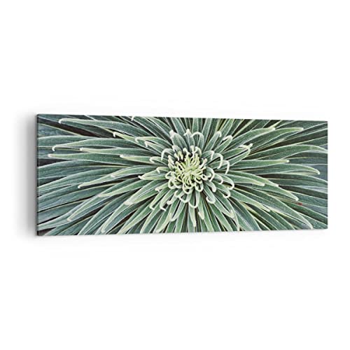 Panorama Bilder auf Leinwand Agave Grün Pflanze Leinwandbild 140x50cm Wandbilder Dekoration Wohnzimmer Schlafzimmer Küche Groß XXL Wanddeko Bild Wand Kunstdruck Art Wall Decor Canvas AB140x50-4905 von ARTTOR