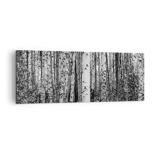 Panorama Bilder auf Leinwand Birken Wald Monochrom Leinwandbild 140x50cm Wandbilder Dekoration Wohnzimmer Schlafzimmer Küche Groß XXL Wanddeko Bild Wand Kunstdruck Art Wall Decor Canvas AB140x50-4643 von ARTTOR