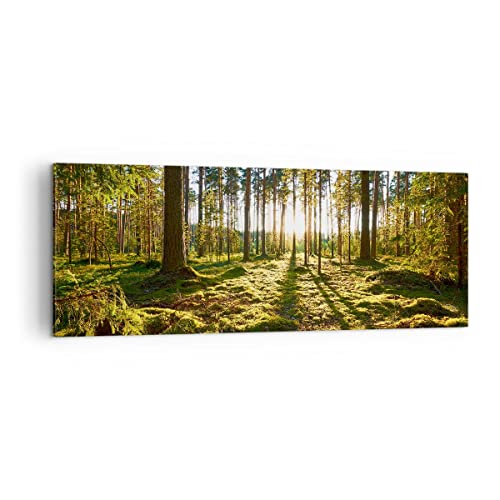 Panorama Bilder auf Leinwand Wald Baum Natur Leinwandbild 140x50cm Wandbilder Dekoration Wohnzimmer Schlafzimmer Küche Groß XXL Wanddeko Bild Wand Kunstdruck Art Wall Decor Canvas AB140x50-3724 von ARTTOR