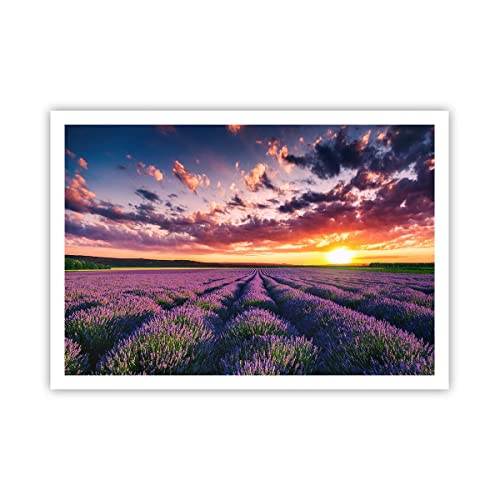 Poster ohne Rahmen Deko 100x70cm Lavendel Berge Feld Wandposter Art Prints Wanddeko Bild Wand Kunstdruck Wandbilder Dekoration Wohnzimmer Schlafzimmer Küche Modern Wall Art Decor P2XAA100x70-3816 von ARTTOR