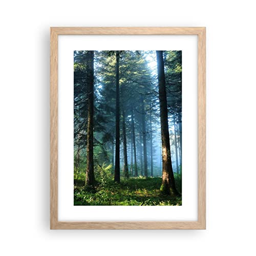 Poster Rahmen helle Eiche Wald Dämmerung die Sonne Deko 30x40cm Wandposter Art Prints Wandbilder Dekoration Wohnzimmer Schlafzimmer Küche Wanddeko Bild Wand Kunstdruck Modern Wall Art P2NPA30x40-4398 von ARTTOR