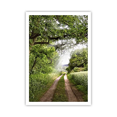Poster ohne Rahmen Deko 70x100cm Pfad Natur Wald Grün Wandposter Art Prints Wanddeko Bild Wand Kunstdruck Wandbilder Dekoration Wohnzimmer Schlafzimmer Küche Modern Wall Art Decor - P2XPA70x100-2637 Poster ohne Rahmen Deko 70x100cm Pfad Natur Wald Grün Wandposter Art Prints Wanddeko Bild Wand Kunstdruck Wandbilder Dekoration Wohnzimmer Schlafzimmer Küche Modern Wall Art Decor - P2XPA70x100-2637 von ARTTOR