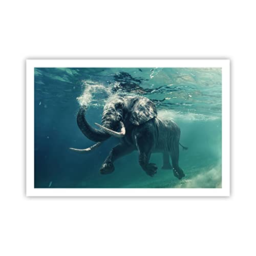 Poster ohne Rahmen Elefant Tier Wasser Deko 91x61cm Wandposter Art Prints Wandbilder Dekoration Wohnzimmer Schlafzimmer Küche Wanddeko Bild Wand Kunstdruck Modern Wall Art Decor P2XAA91x61-3944 von ARTTOR