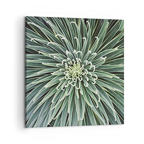 Wandbilder Dekoration Wohnzimmer Agave Grün Pflanze Bilder auf Leinwand 50x50cm Leinwandbild mit Rahmen Schlafzimmer Küche Deko Wand Kunstdruck Art Klein Wanddeko Bild Wall Decor Canvas AC50x50-4905 Wandbilder Dekoration Wohnzimmer Agave Grün Pflanze Bilder auf Leinwand 50x50cm Leinwandbild mit Rahmen Schlafzimmer Küche Deko Wand Kunstdruck Art Klein Wanddeko Bild Wall Decor Canvas AC50x50-4905 von ARTTOR